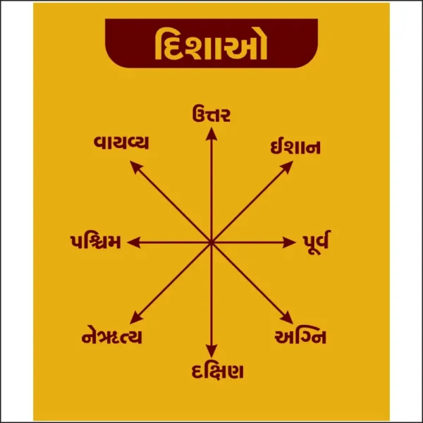 DISHAO
